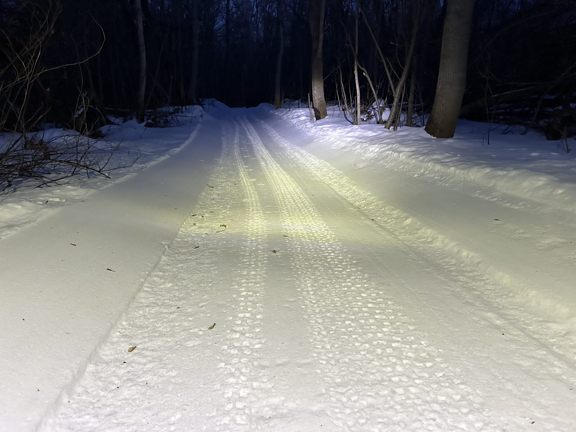 Cycling the Frozen Wild: Escape the Hooved Man in Northern Saskatchewan
